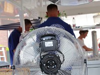 IMG 0590