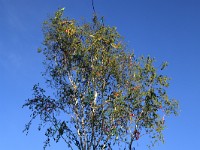 IMG 9857